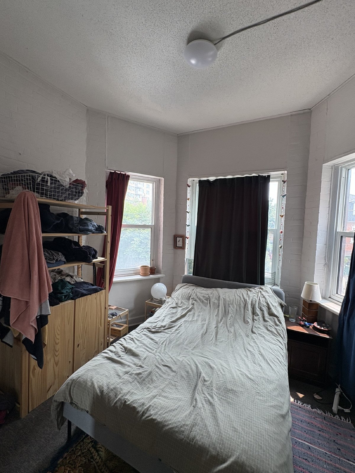 305 Waverley Street - 4 property image