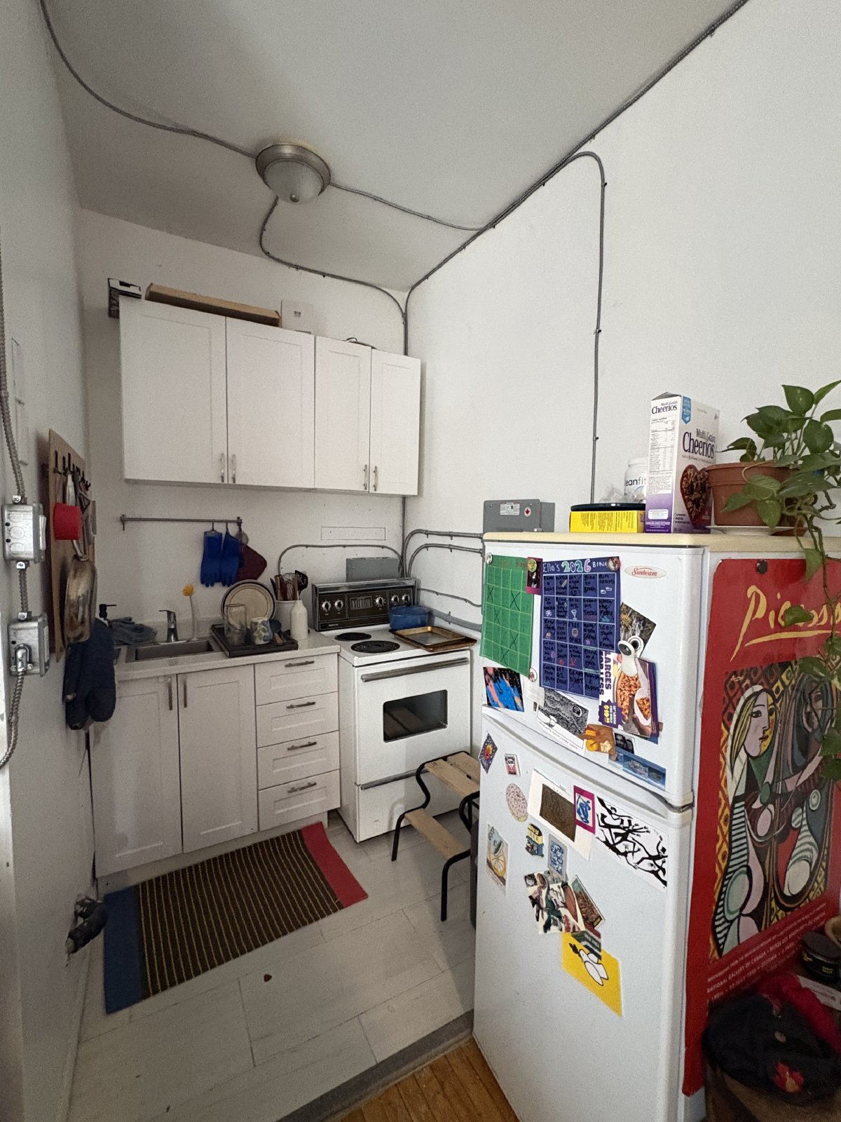 305 Waverley Street - 4 property image