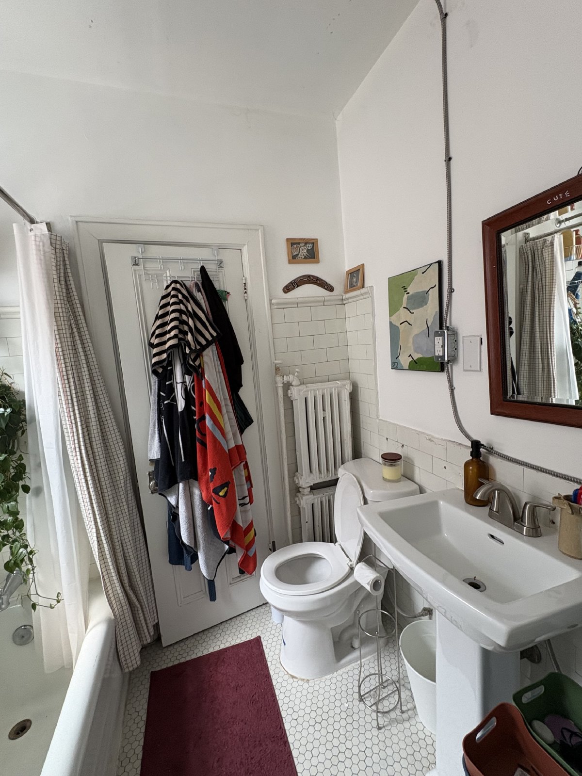 305 Waverley Street - 4 property image