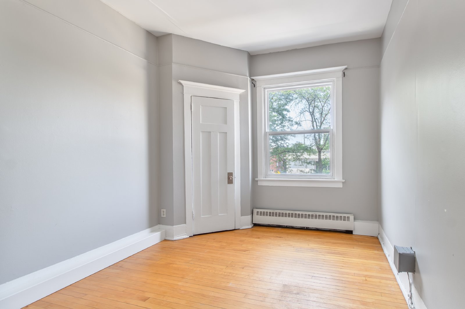 357 Elgin Street - B property image