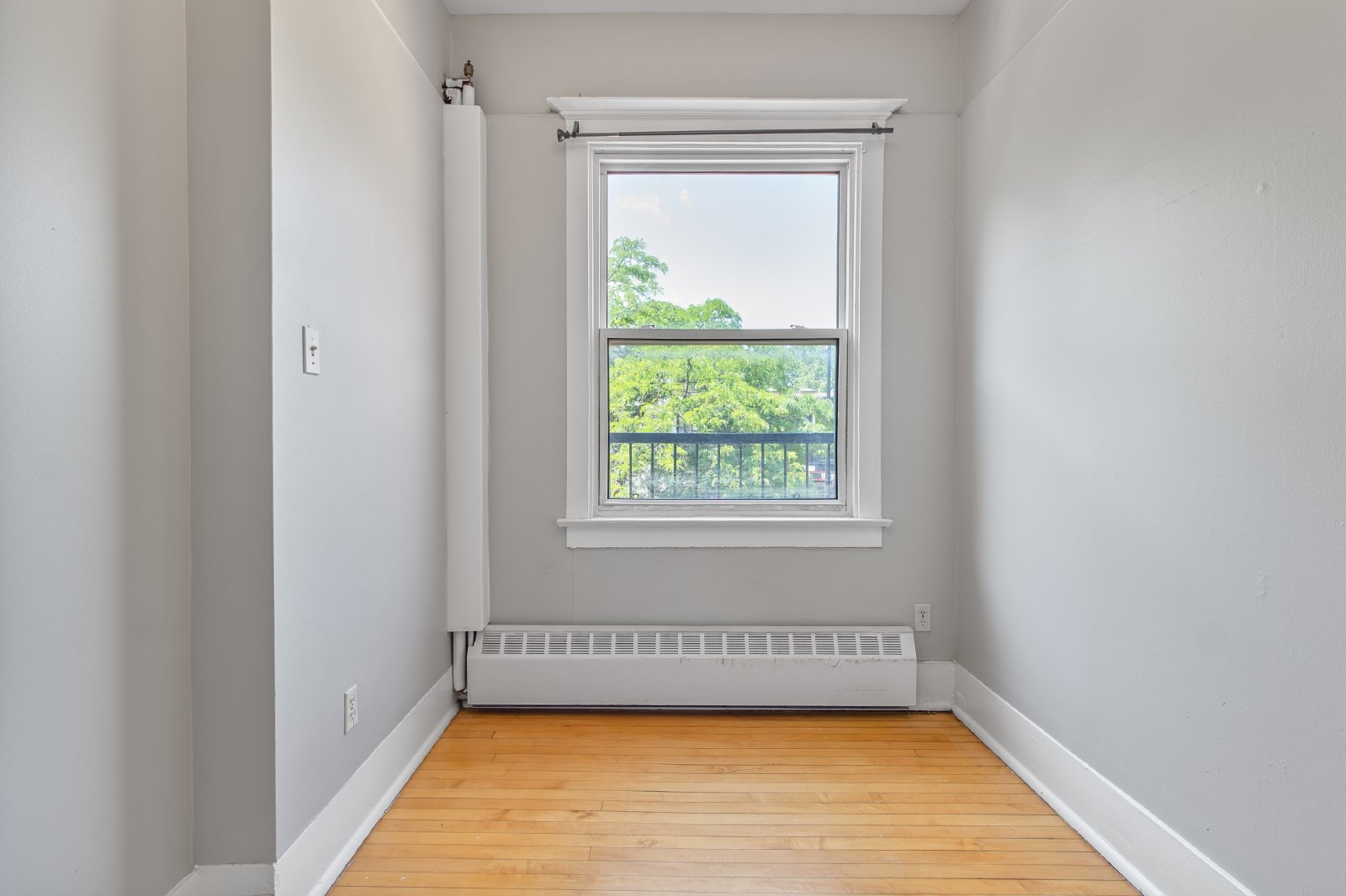 351 Elgin Street - B property image