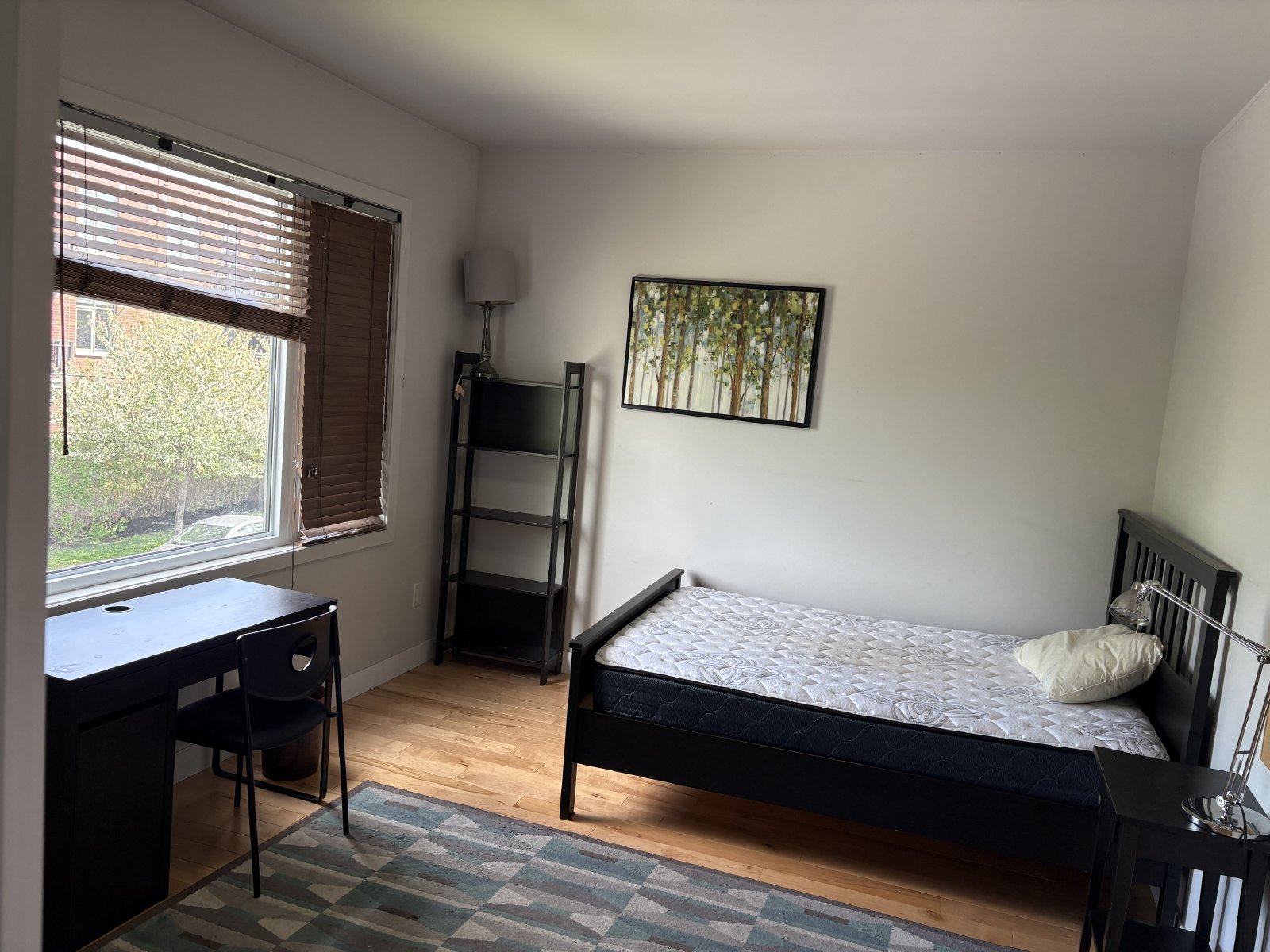 44 Ontario Street - 3D property image