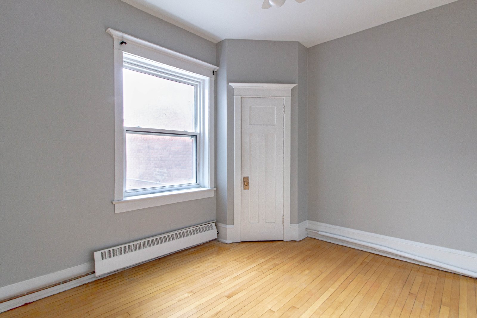 359 Elgin Street - A property image