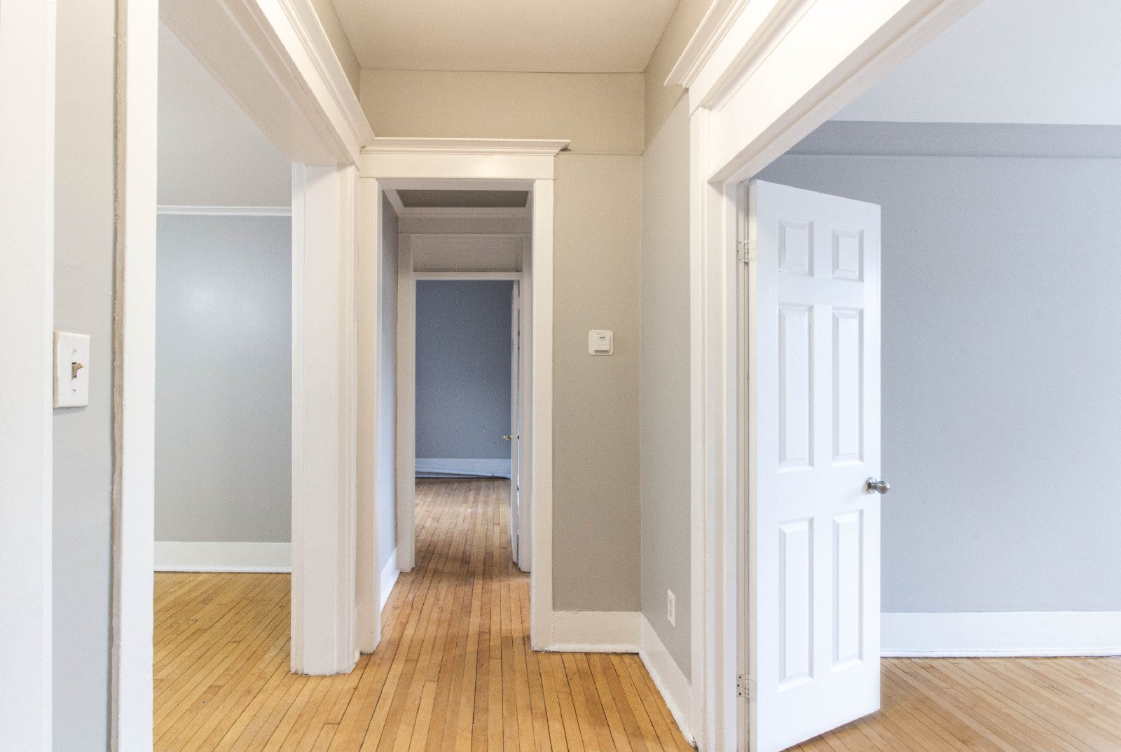 359 Elgin Street - A property image