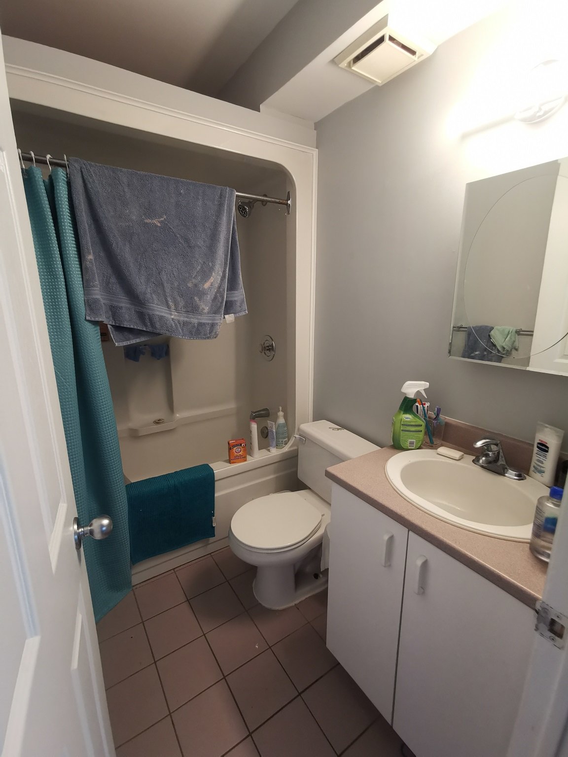 188 Waverley Street - 102 property image
