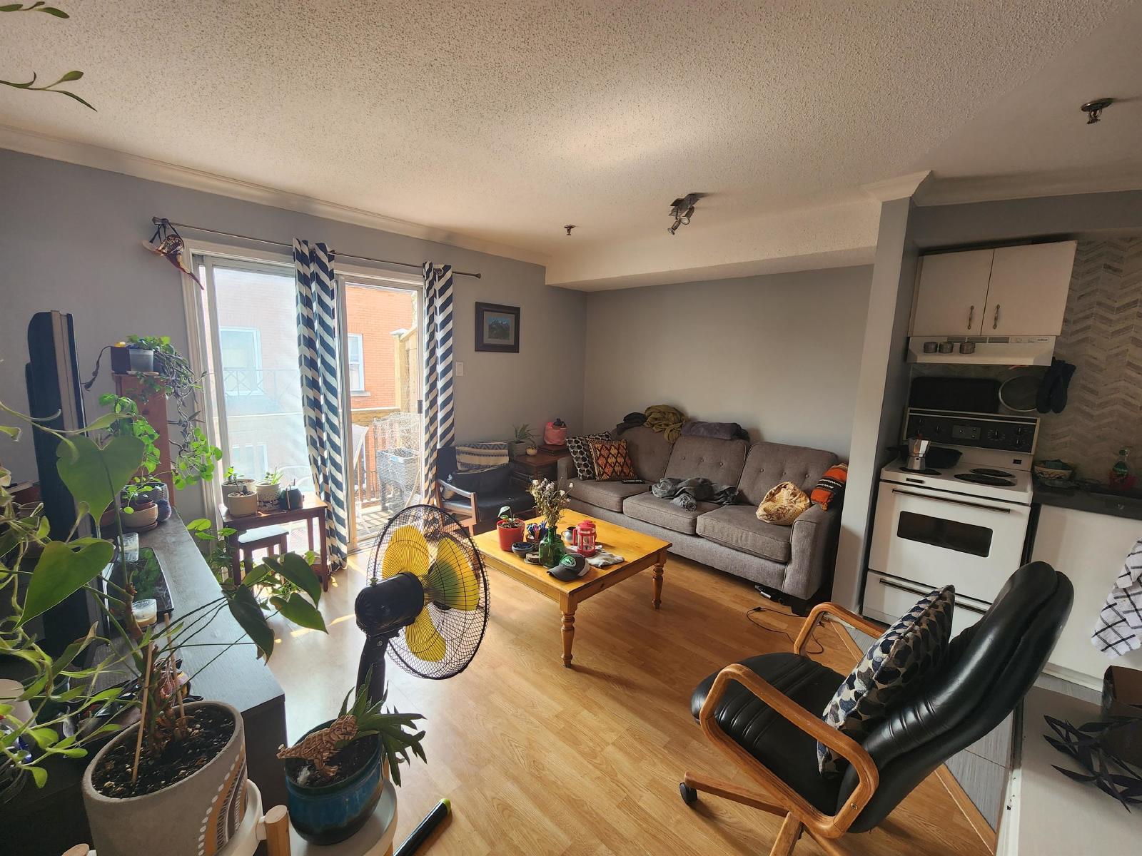 188 Waverley Street - 203 property image