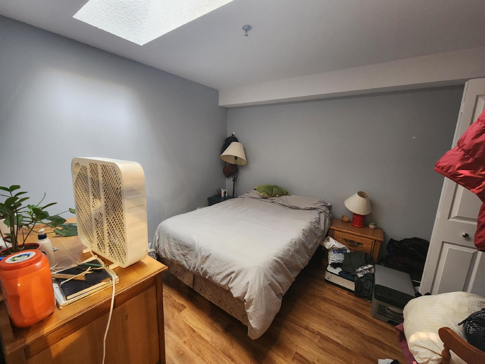 188 Waverley Street - 203 property image