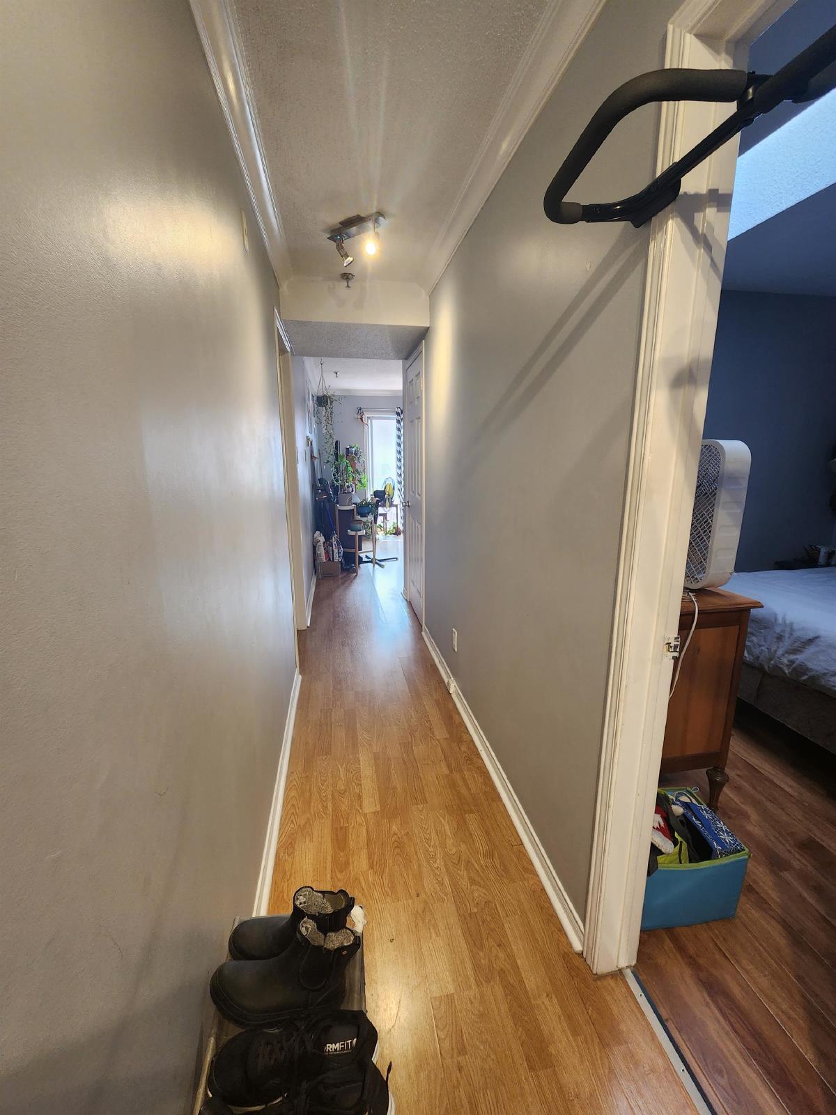 188 Waverley Street - 203 property image