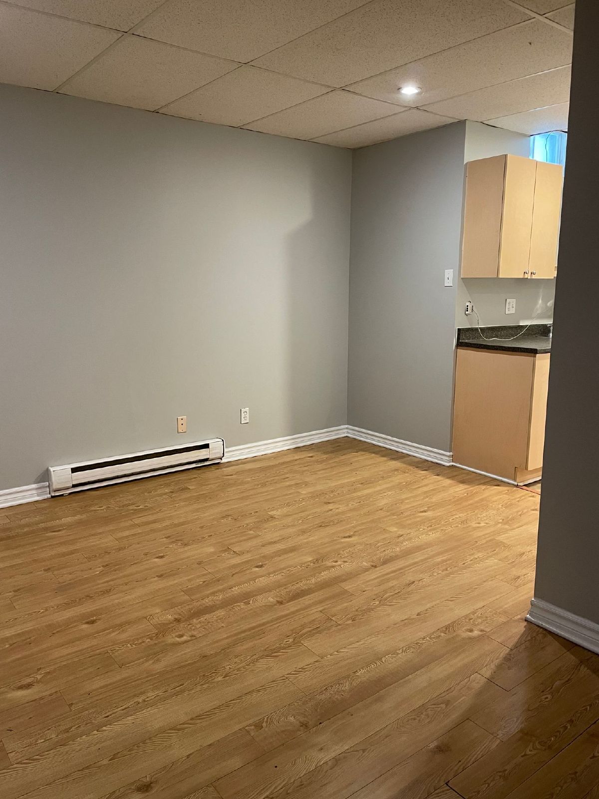917 Bronson - Unit B property image