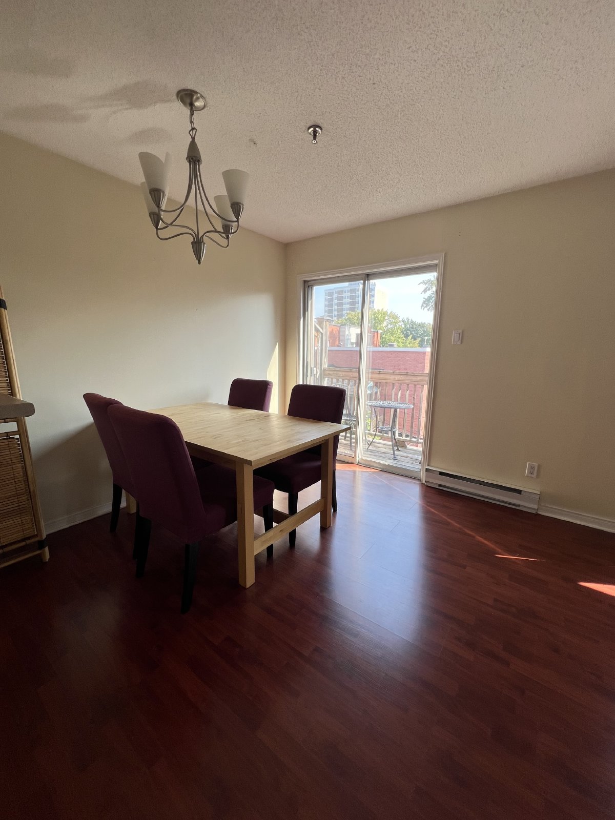 188 Waverley Street - 312 property image