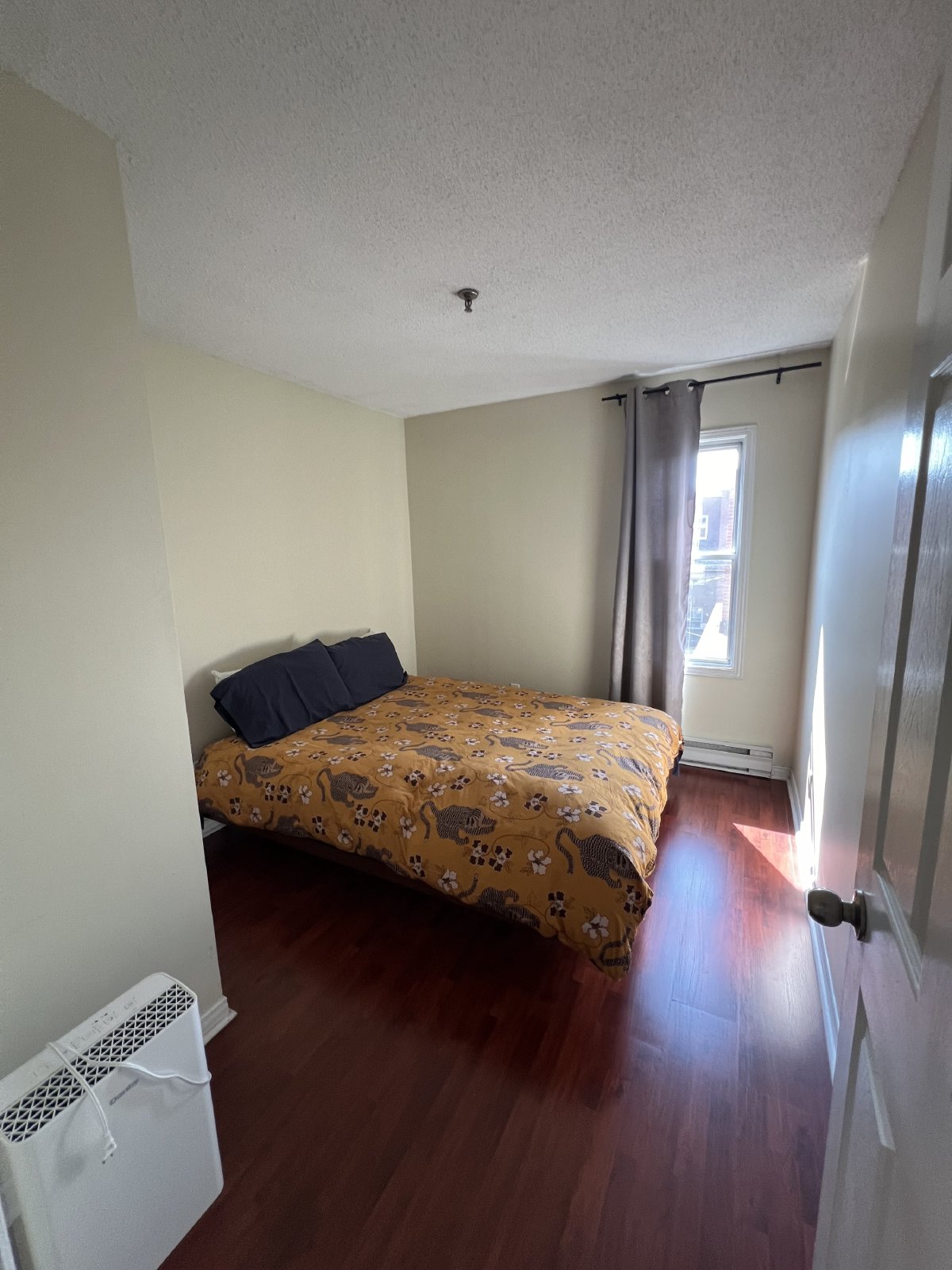 188 Waverley Street - 312 property image