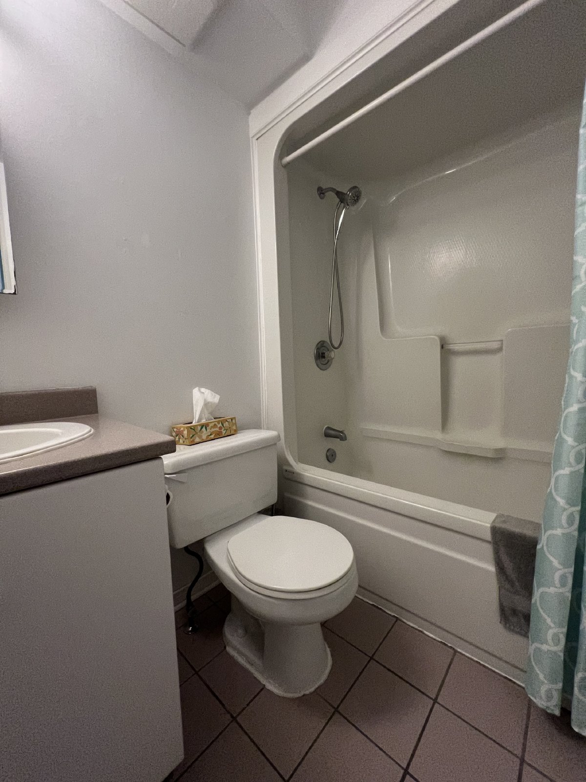 188 Waverley Street - 312 property image