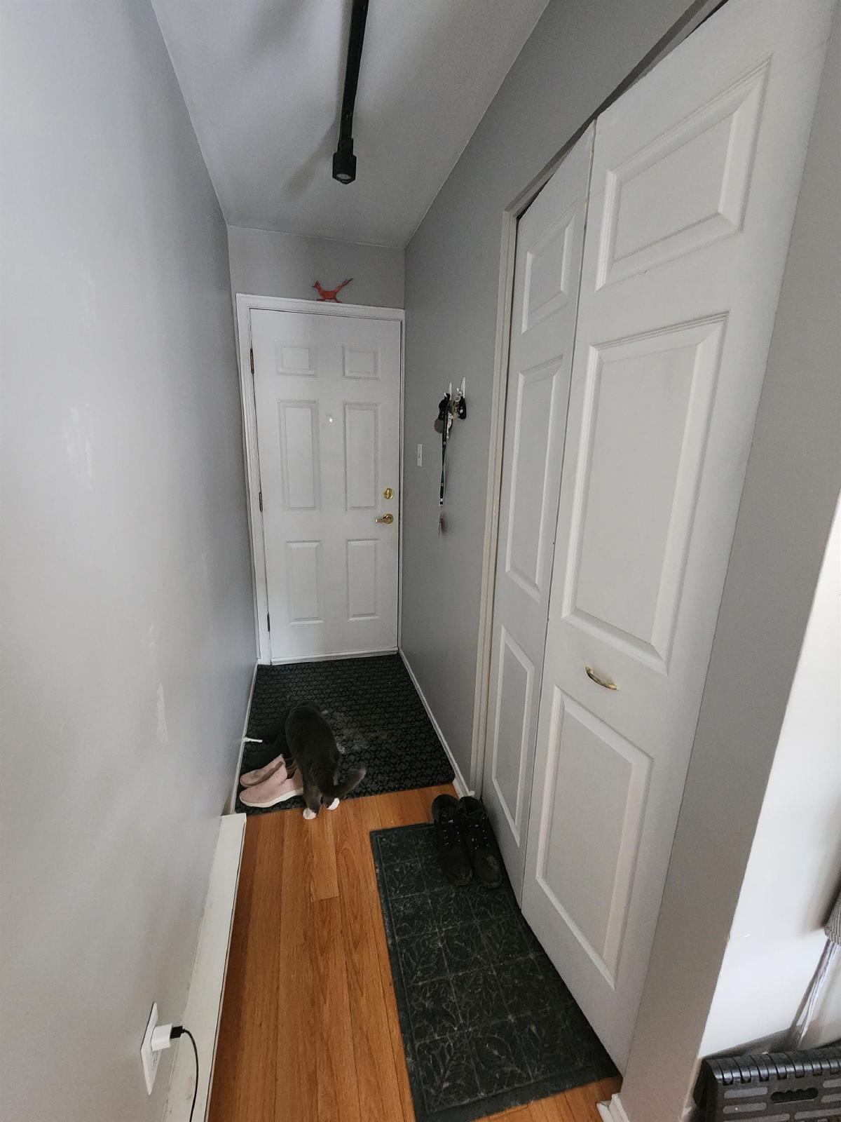 226 Wilbrod - Unit 1 property image